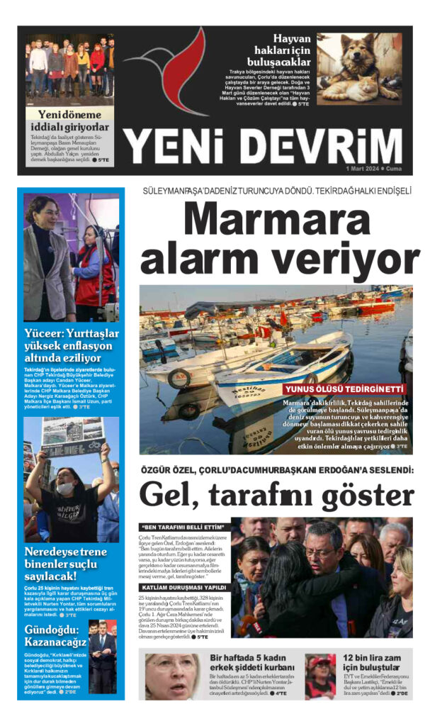 image Gazete ve dergi tasarımı