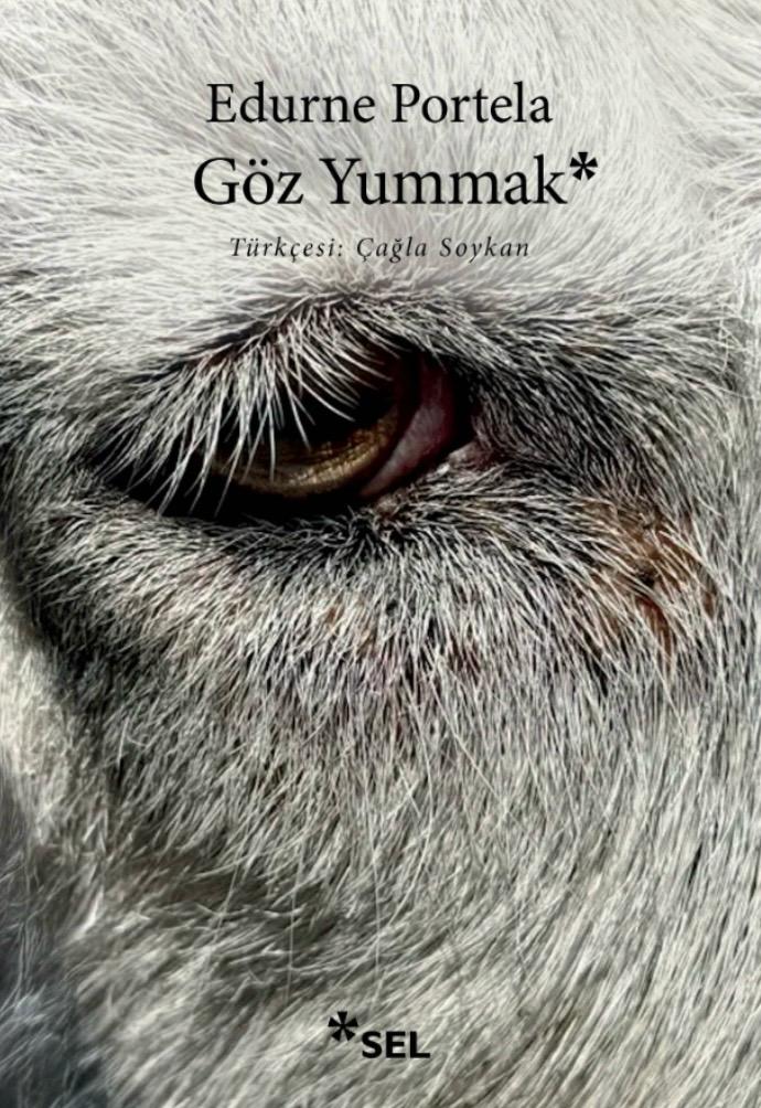 goz-yummak Sibel Dülger'in kaleminden kitap seçkileri